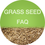 Grass Seed Faq
